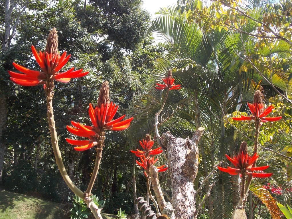 Holiday home Sitio Cumuru Paraty